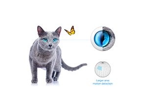 Fibaro motion senzor (1)